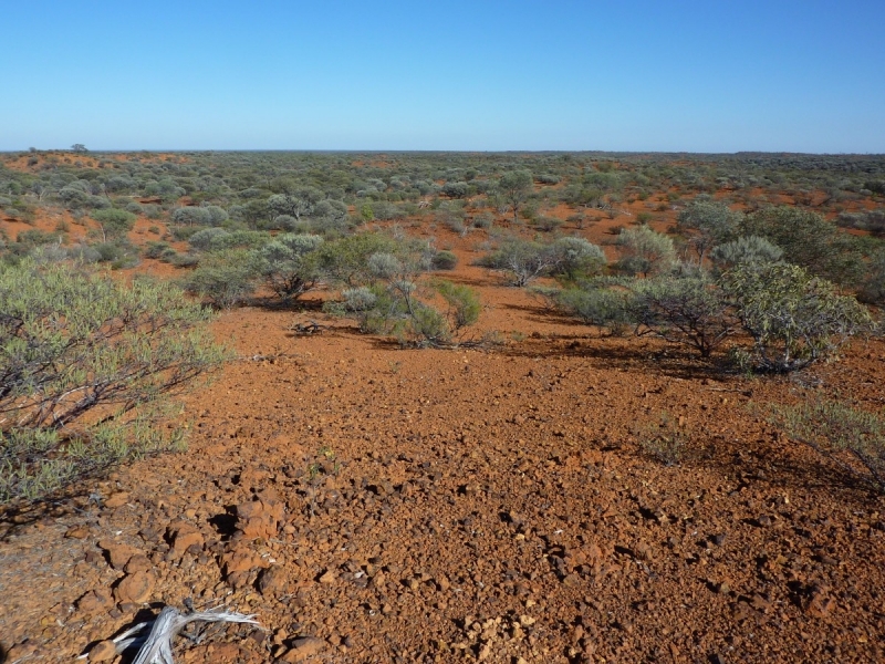 western-australia-outback-2011.jpg