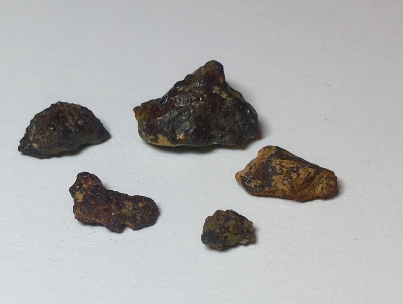 5 Meteorites Found in Franconia May 2017.jpg