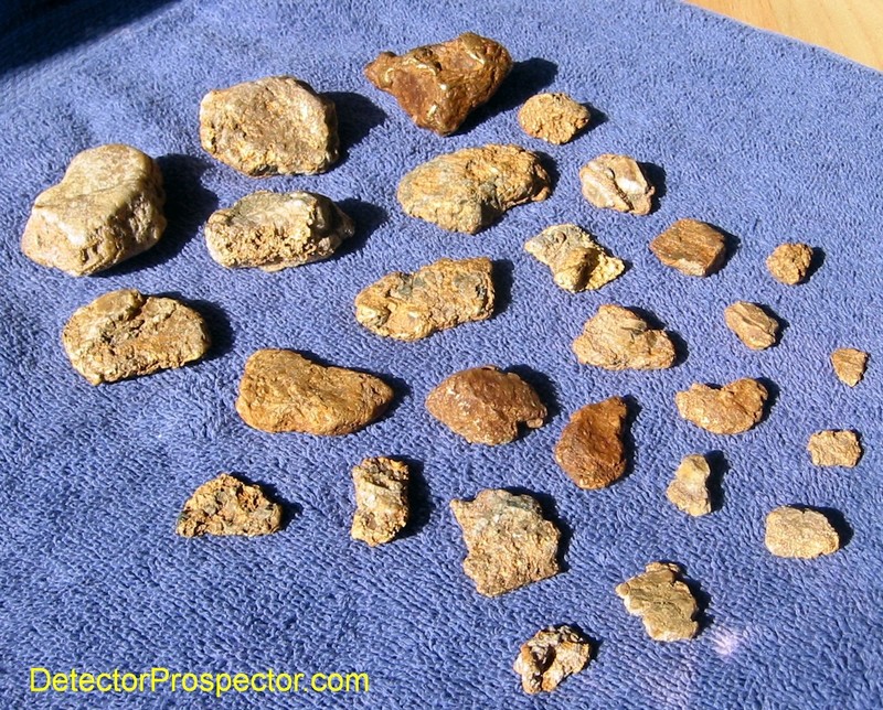 Just over 23 ounces gold specimens found by Steve with GP 3000 at Moore Creek, Alaska