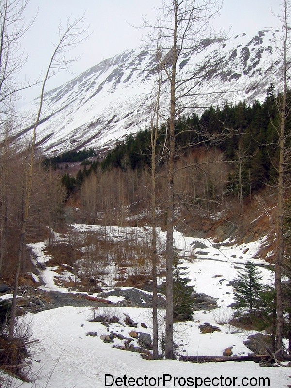 Area #1 at Crow Creek Mine, early spring