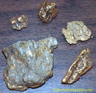 Gold nuggets Bud found with Tesoro Lobo ST at Ganes Creek
