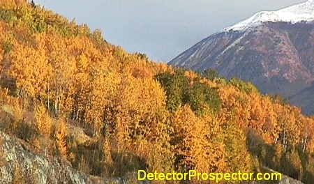 fall-colors-along-turnagain-arm.jpg