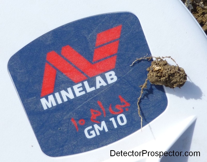 gold-nugget-embedded-lump-dirt-minelab-gm1000.jpg