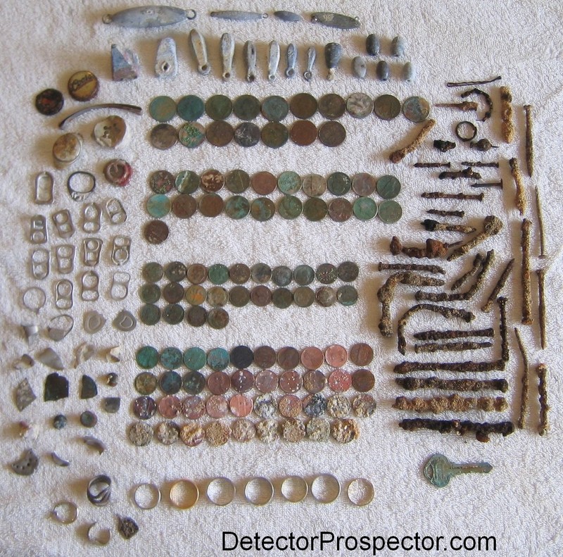 herschbach-detecting-finds-kauai.jpg