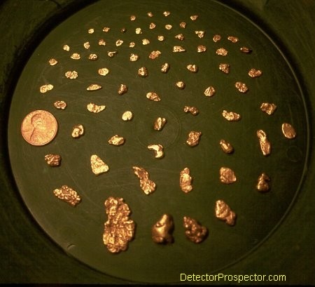 Gold nuggets Steve found with Compass Gold Scanner Pro