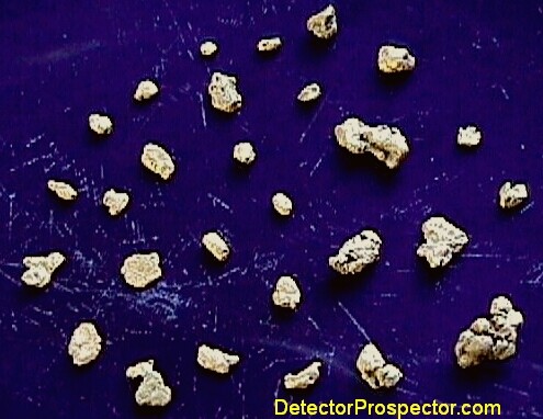 More information about "Metal Detecting Small Gold Nuggets at Crow Creek - 5/30/99"