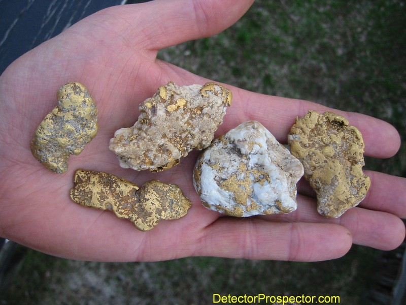 large-gold-specimens-ganes-creek-alaska-herschbach.jpg