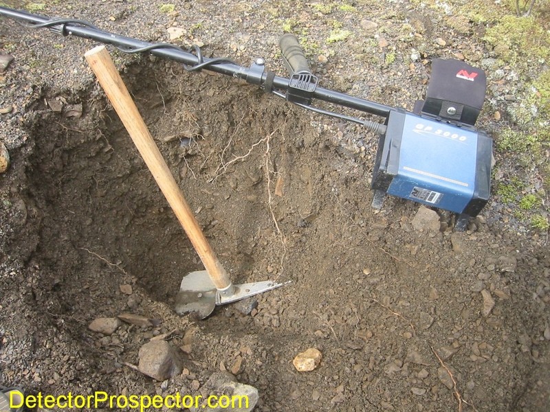 minelab-gp-3000-large-gold-specimen-excavation.jpg