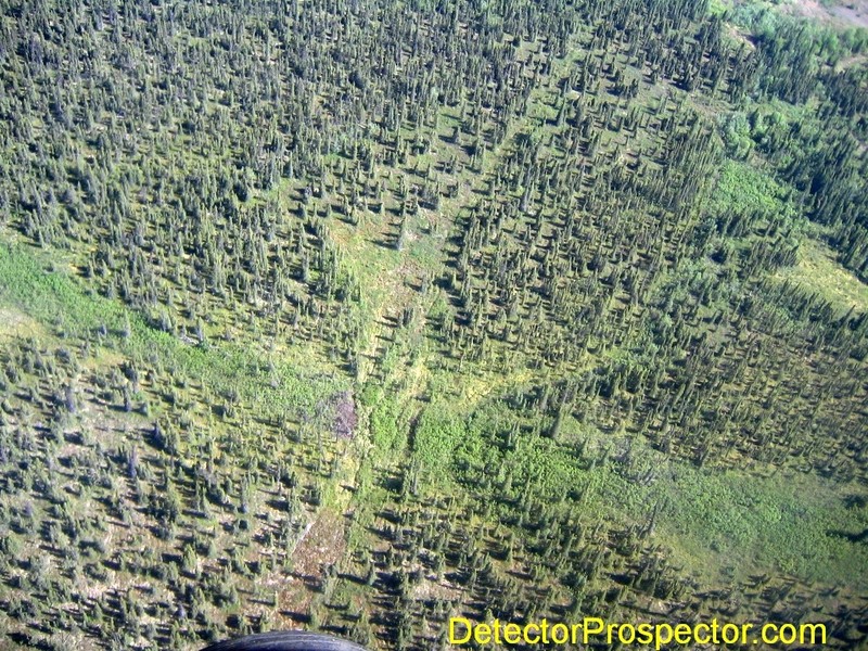 old-dozer-trail-above-camp-moore-creek.jpg