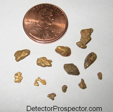 Small gold nuggets found with White's GMT