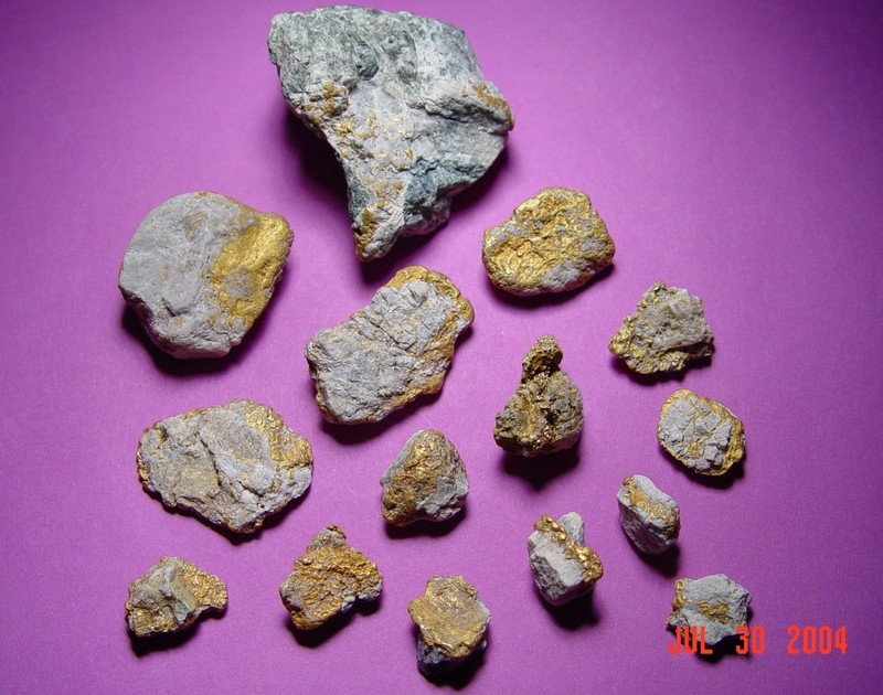 steves-gold-specimens-moore-creek-2004.jpg