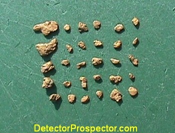 Thirty little nuggets found with Gold Bug 2