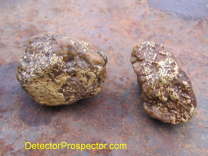 tom-gold-specimens-moore-creek.jpg