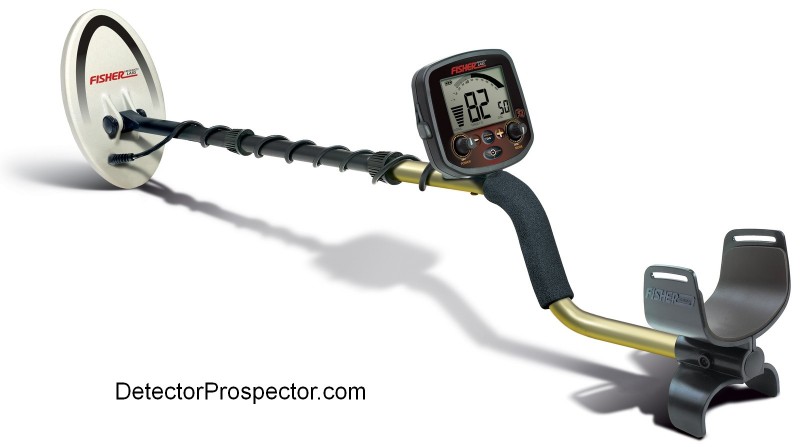 fisher-f19-metal-detector-standard-black-and-gold.jpg