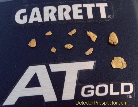 herschbach-nuggets-garrett-at-gold.jpg