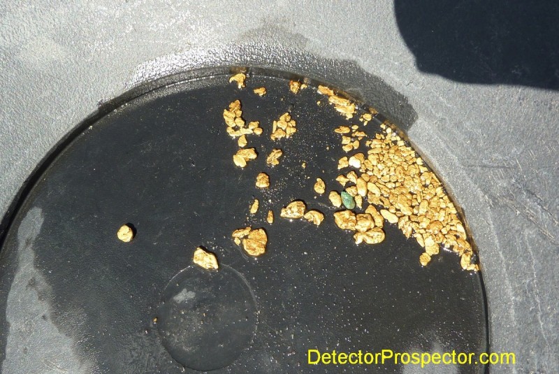 gold-nuggets-from-sample-site.jpg
