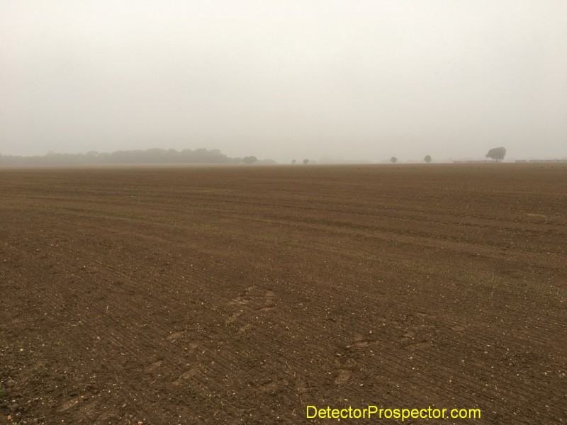 06-misty-morning-damp-field.jpg