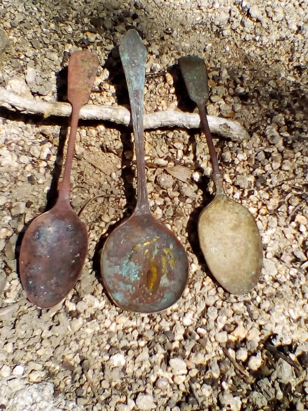 Old spoons.jpg
