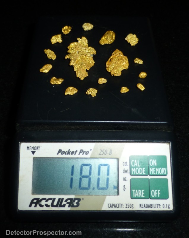 gold-nuggets-found-with-garrett-axiom-herschbach-01.jpg