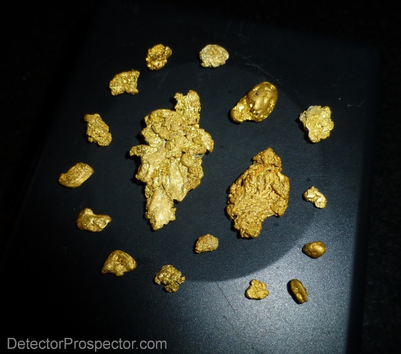 gold-nuggets-found-with-garrett-axiom-herschbach-02.jpg